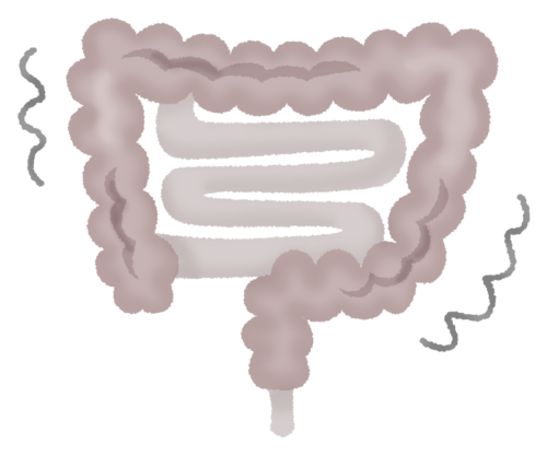 脳腸相関イメージ